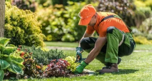 NECESITAMOS JARDINEROS ESPECIALISTAS POSTTULA YA